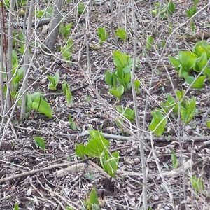 Meet your Posher, Kristine